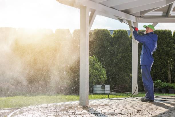 Best Sidewalk and Walkway Cleaning  in Collierville, TN