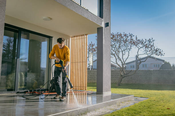 Best Graffiti Removal  in Collierville, TN